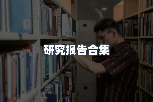 研究报告合集